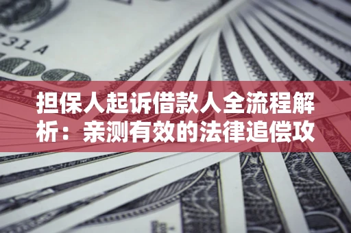 济南担保人起诉借款人全流程解析：亲测有效的法律追偿攻略