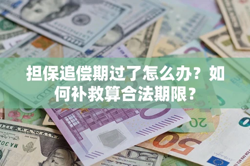 济南担保追偿期过了怎么办？如何补救算合法期限？
