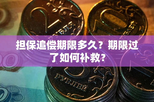 济南担保追偿期限多久？期限过了如何补救？