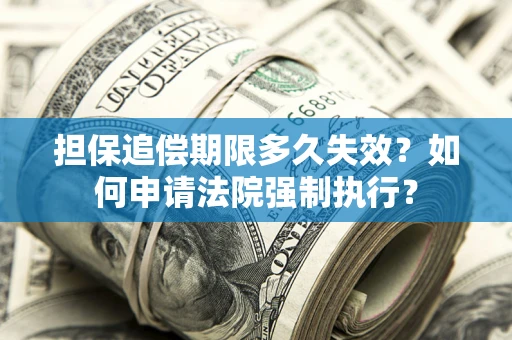 济南担保追偿期限多久失效？如何申请法院强制执行？