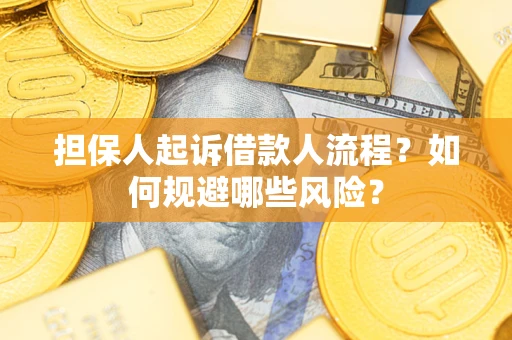 济南担保人起诉借款人流程？如何规避哪些风险？