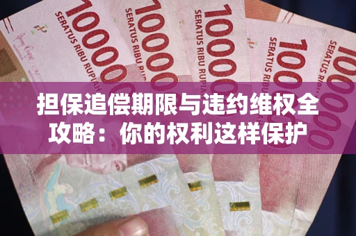 济南担保追偿期限与违约维权全攻略：你的权利这样保护